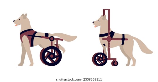 Wheelchair for hind and front paw dogs. Handicapped pets. Veterinary help for disabled paraplegic animals. Canine prosthesis. Puppies with disabilities. Vector isolated