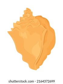 whelk shell icon on white background