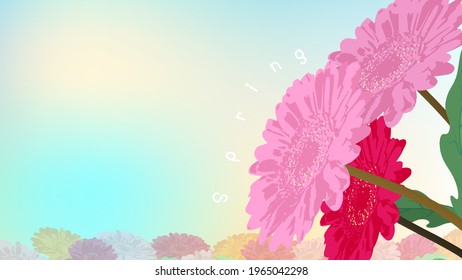 When the day the flowers bloom