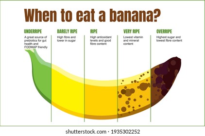 When to eat a banana. Banana ripeness table. Characteristics of unripe, ripe and overripe bananas. Fruit infographics on white background