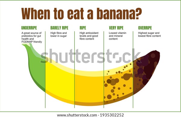 When to eat a banana. Banana ripeness table.\
Characteristics of unripe, ripe and overripe bananas. Fruit\
infographics on white\
background