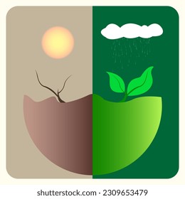 When the forest is deforested and when the forest is still pristine