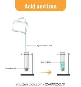 When iron (Fe) reacts with hydrochloric acid (HCl), a displacement reaction occurs. The iron displaces hydrogen ions from the acid, forming iron chloride (FeCl₂ or FeCl₃) and hydrogen gas (H₂). 