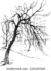 when the trees are bare , it is curious to observe their bizarre shapes .Graphic representation of trees without leaves .Spring.