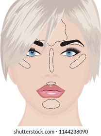 Where to apply highlighter strobing vector illustration