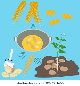 Where potato fry come from and how to changing potato to potato fry by home made. How to make food concept