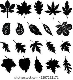 Whether you're creating a website or designing a poster or flyer, these transparent PNG files can be easily inserted and resized to fit your design needs. 