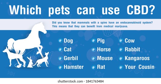 Which pets can use CBD and your dog benefits cbd of effect your dog receptors pet, vector infographic on white background