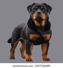 While Rottweilers are generally a large breed, smaller versions, whether through mixed breeding or age, still maintain the key characteristics of loyalty, protectiveness, and a strong build.