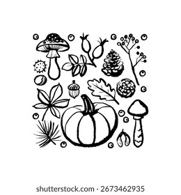 Padrão de outono fantástico com abóbora, cogumelos, pinecones, folhas, bagas, elementos da natureza sazonal. Ilustração isolada do vetor de esboço desenhado à mão.