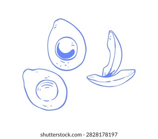 Whimsical avocado doodle in blue line art. Cute avocado food icon as simple breakfast idea and light brunch accent. Hand drawn sketch element on clean background for cafe menu, mediterranean