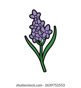 A whimsical cartoon illustration displays a purple hyacinth flower with clustered blooms and vibrant green leaves, all outlined in black, set against a white background.