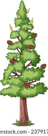 A whimsical cartoon illustration featuring conifer plants and gymnosperms