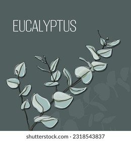 Whimsical eucalyptus illustration line drawing