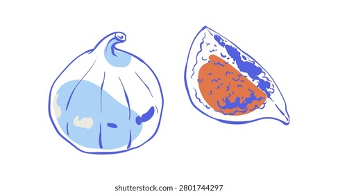 Whimsical fig sketch on blue background color. Cute fruit doodle and minimalist food art. Simple gourmet dessert icon as mediterranean cafe menu accent, breakfast or brunch card element with soft