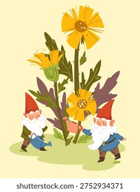 Whimsical garden gnomes with red pointed hats and flowers gardening elements. Card design with gnomes and spring flowers, tussilago farfara