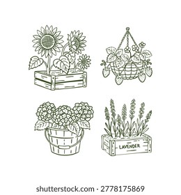 Whimsical hand drawn doodle garden flower set in crates buckets and pots with sunflowers strawberries hydrangeas and lavender line art illustration