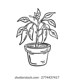 Whimsical hand drawn doodle small pepper growing in pot line art illustration