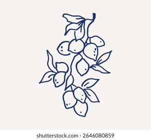 Whimsical hand drawn line art of lemons hanging from branches with green leaves. Citrus fruit branch. Vector outline illustration