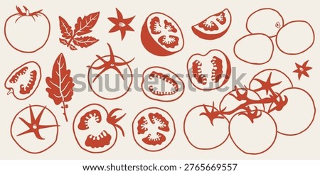 Whimsical hand drawn tomato element set with whole tomatoes, slices, leaves and stems. Mediterranean style line art vector perfect for food packaging, menu design, kitchen decor and organic products.