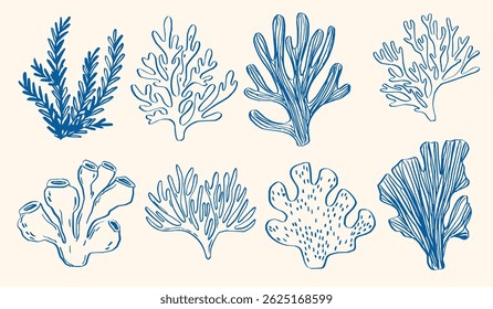 Whimsical hand-drawn coral and seaweed illustrations in a vintage doodle style. Featuring vibrant blue corals and sea plants, perfect for beach-themed projects and coastal designs