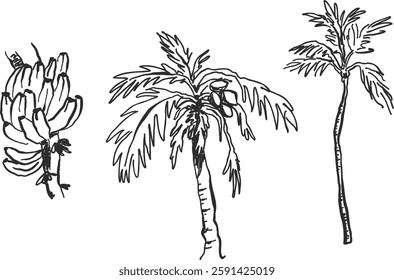 Whimsical hand-drawn summer illustrations, line art sketch style