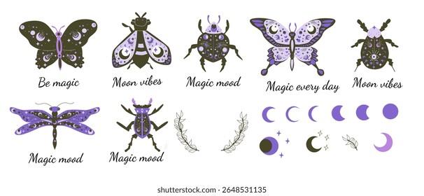 Whimsical insect and moon designs with decorative elements.