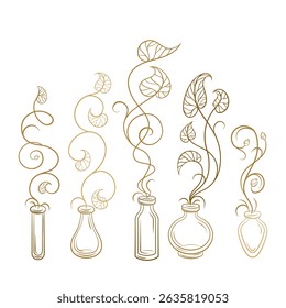 Whimsical ivy stems in antique apothecary bottles. Elegant botanical swirl vector graphic for eco packaging, wedding stationery, or magical decor.