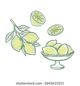 Whimsical lemon fruits line art, branches with leaves, fruit bowl and basket. Hand drawn lemons set. Vintage vector drawing in Mediterranean style. Summer illustration for templates, posters