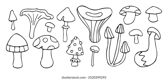 Whimsical mushroom doodles in black and white, featuring various fungi shapes in a playful, hand-drawn style. Perfect for nature-themed designs and illustrations.