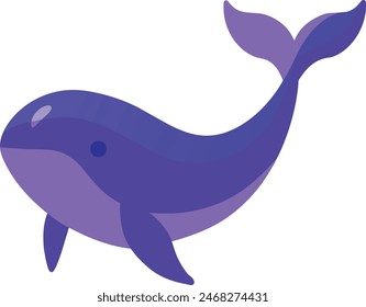 Whimsical Ocean Friend Marine Life Illustrations Blue Whale