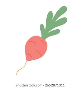 Cenoura rosa extravagante com topo verde folhosa, adequado para gráficos de primavera fazenda, arte vegetariana livro de receitas, ou marca de mercado orgânico lúdico.