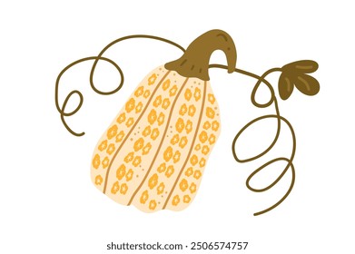 Whimsical pumpkin with tendrils isolated on white background. Textured stylized halloween decorated ripe vegetable. White Butternut squash with floral design. Vector hand drawn illustration