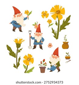 Whimsical set of cute garden gnomes with red pointed hats. Vector elf, dwarf and flowers gardening elements. design with gnomes and spring flowers, tussilago farfara