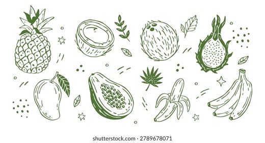 Whimsical tropical doodle vector fruits set with hand drawn pineapple, coconut, mango, banana, dragon fruit and papaya in minimal flat style