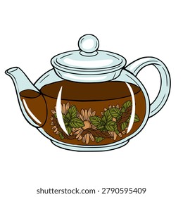 Whimsical vector illustration of a glass teapot filled with brewed tea, mint leaves, and chamomile flowers