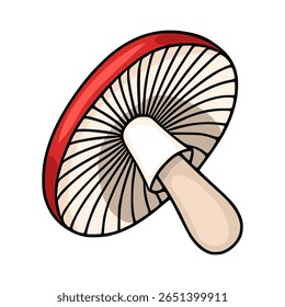 A whimsical vector illustration of a single amanita mushroom, showcasing a vibrant red cap with detailed gills and a creamy beige stem, rendered in a cartoonish style.