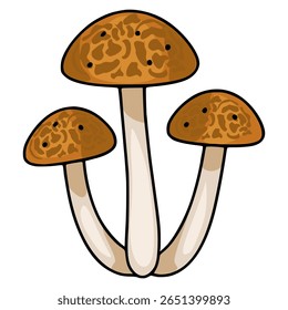 Uma ilustração vetorial caprichosa de três cogumelos agáricos de mel de desenho animado com capas marrons com uma textura manchada única e caules beges, agrupados em conjunto contra um fundo branco.