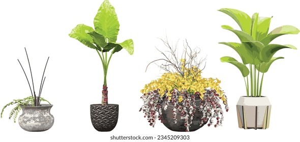 Whimsical Wildflower Designs Natural Beauty with a Twist, transparent background, 3D rendering, for illustration, digital composition and architecture visualization