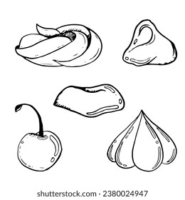 Remolque de nata, gelatina, tarta de mermelada para donuts, meringue de cerezo y chocolate ilustraciones vectoriales en blanco y negro para la decoración de pasteles o pastelitos