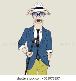 Whippet boy hipster, fashion animal illustration