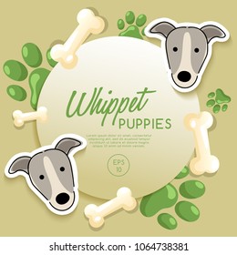 Whippet : Dog Breed Collection : Vector Illustration
