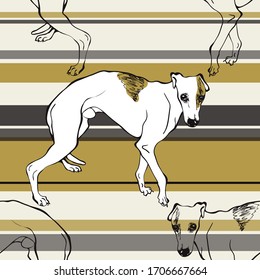 Whippet. Dog. The English dog. Vector drawing. Seamless vector pattern with whippit.