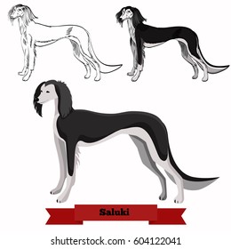Whippet dog isolated on white background. Saluki dog in hand drawn and flat styles.