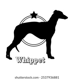 Whippet dog silhouette,  dog, dog breeds, logo, vector, silhouette, logo design, animal, illustration, icon, sign, design, black,  symbol, pet