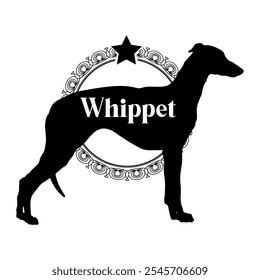 Whippet dog silhouette, dog, dog breeds,  vector, silhouette, logo design, animal, illustration, icon, sign, black, pet