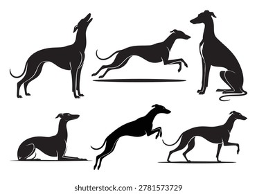 Whippet Dog Silhouette Set Vector Collection | Elegant Sighthound Running Poses Outline Bundle