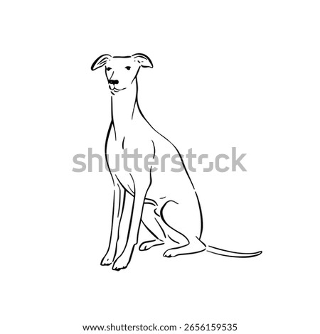 A whippet dog sitting. Simple side profile drawing of a dog