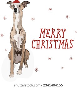 Whippet drawn illustration winter card. Cute dog character in a sitting pose. Holiday Design for printing, adorable and cute Christmas dog cartoon vector greeting card. Adorable sitting hound dog.