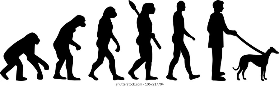 Whippet evolution with dog silhouette